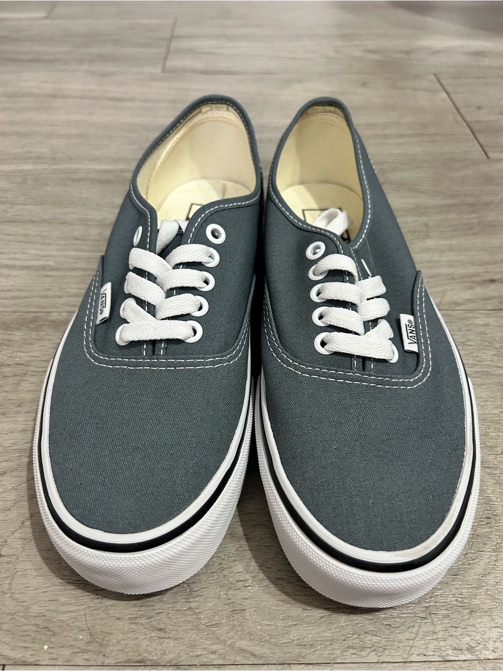 Vans Authentic Canvas Sneakers - Charcoal Gray & White